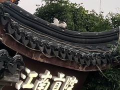 -夫子庙秦淮河画舫