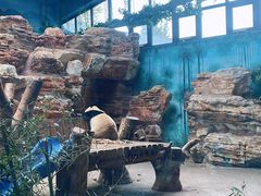 -石家庄市动物园