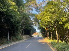 -深圳仙湖植物园