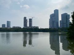 -华侨城湿地公园