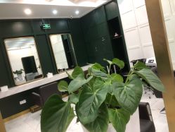 -悦Salon发型设计