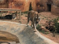 -昆明动物园
