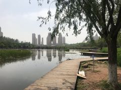 -前关湿地公园