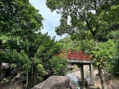 -广州白江湖森林公园