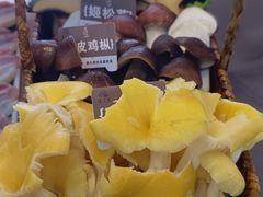 -大理老字号·舟渔的鱼野生菌海景餐厅(双廊店)