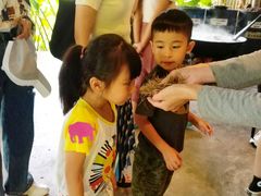 -大象粑粑造纸公园