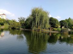-花溪公园