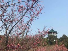 -无锡梅园公园