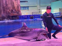 -华夏文旅海洋公园