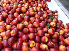 -花果山生鲜超市(浑河湾店)