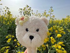 -汉长安城未央宫国家考古遗址公园