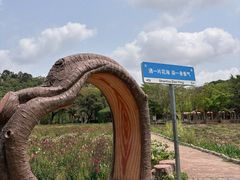 -丹樱生态园