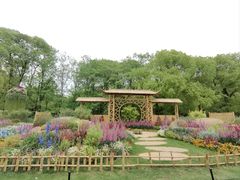 -上海共青森林公园