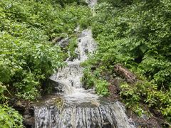 -凤凰山国家森林公园