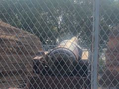 -平湖九龙山旅游度假区