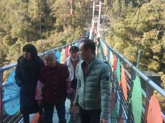 -九龙江国家森林公园