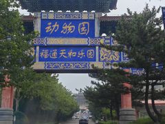 -西霞口神雕山野生动物世界