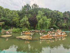 -宁波野生动物园