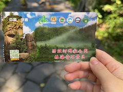 -汤旺河林海奇石景区