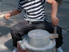 -前小桔亲子创意农场·草莓采摘·露营烧烤