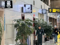 -丽江三义国际机场