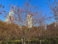 -人民公园-相亲角