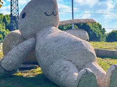 -嘉北郊野公园