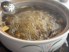 -爱膳菌锅锅(阳南店)