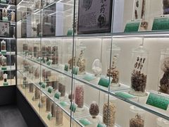 -广东中医药博物馆