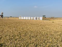 -红海滩国家风景廊道