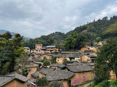 -杨家堂村