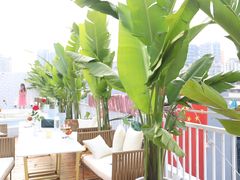 -天空花园餐吧·生日·团建(南山店)