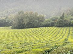 -敬亭山风景名胜区