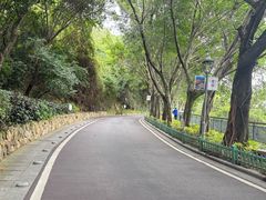 -金鸡山公园