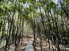 -火炉山森林公园