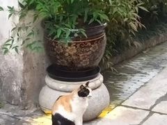-巡塘古镇