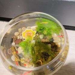 -造物庄园 萌宠纪(苏州湾歌林公园店)