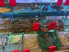 水产区-洲晓鲜·舟山海鲜大排档(朱家尖风景区店)