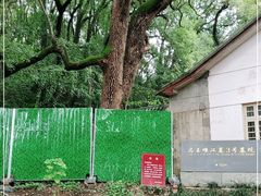 -马王堆汉墓遗址