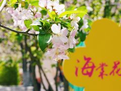 -元大都城垣遗址公园