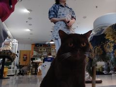 -平行世界·猫咖(首经贸店)