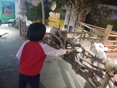 -正佳雨林生态植物园