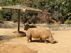 -泉州海丝野生动物世界