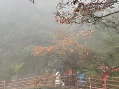 -老君山风景名胜区