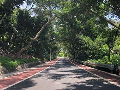 -仙岳公园