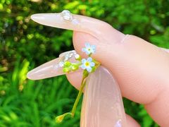 -长春公园(普阳街道)