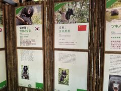 -关西瀑布