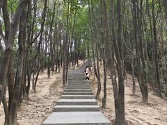 -火炉山森林公园