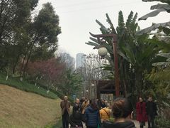 -重庆彩云湖湿地公园