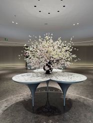 -广州美莱医疗美容医院